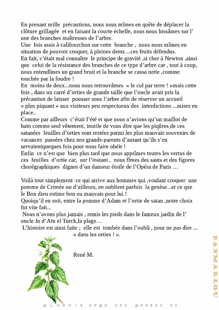 UN SOUVENIR D ENFANCE (2).jpg